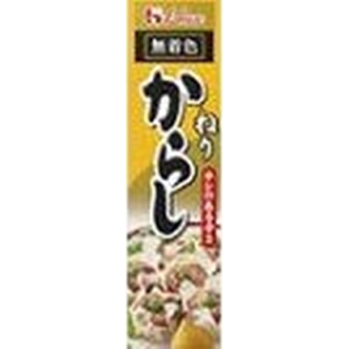 ハウス食品 ねりからし ４３ｇ ×10