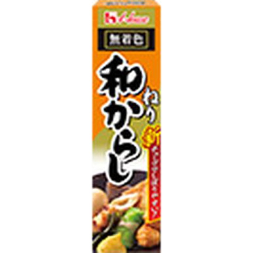 ハウス食品 ねり和からし ４３ｇ 【今月の特売 調味料】 □お取り寄せ品 【購入入数１２０個】