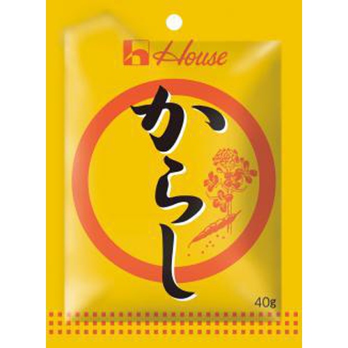 ハウス食品 からし 袋入り４０ｇ □お取り寄せ品 【購入入数１２０個】