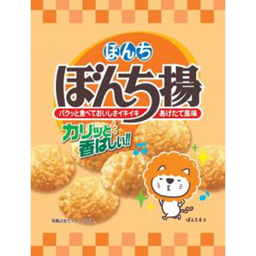 ぼんち ６０ｇぼんち揚 【今月の特売 菓子】 【購入入数２０個】