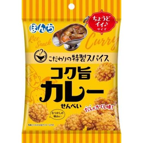 ぼんち コク旨カレーせんべい ５５ｇ 【今月の特売 菓子】 △ 【購入入数１０個】