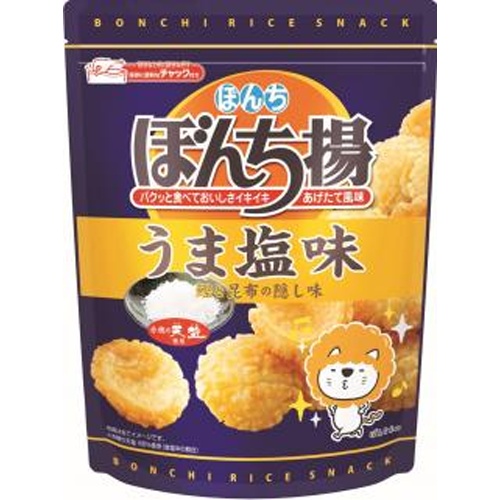 ぼんち ぼんち揚 うま塩味チャック付８５ｇ 【今月の特売 菓子】 □お取り寄せ品 【購入入数１２個】