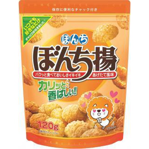 ぼんち ぼんち揚チャック付 １００ｇ 【今月の特売 菓子】 □お取り寄せ品 【購入入数１２個】