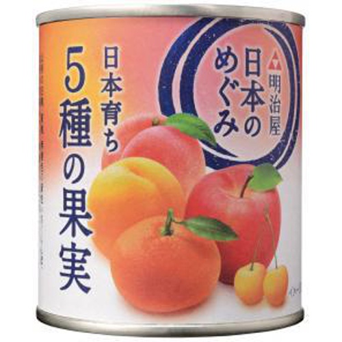 明治屋 日本のめぐみ日本育ち五種の果実 ２１５ｇ □お取り寄せ品 【購入入数１２個】