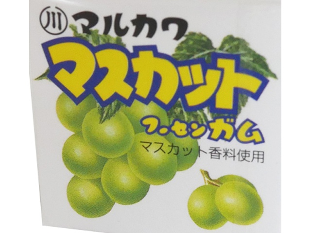 丸川製菓 マスカットフーセンガム 【新商品 9/1 発売】 □お取り寄せ品 【購入入数４８０個】