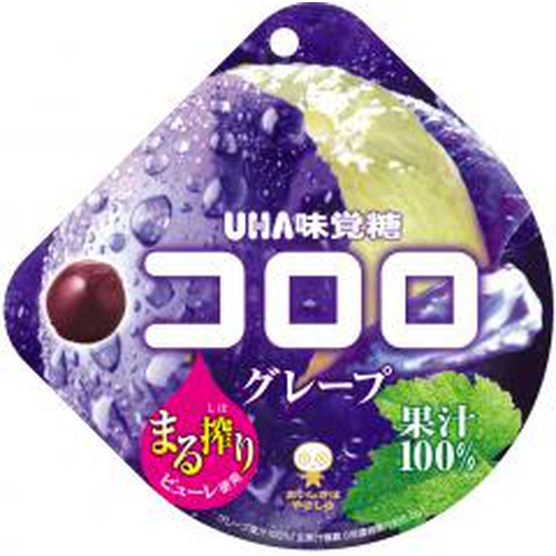 味覚糖 コロログレープ ４８ｇ 【今月の特売 菓子】 【購入入数６個】