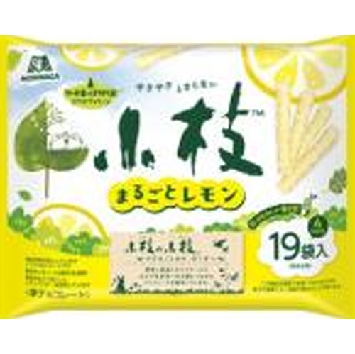 森永 小枝 まるごとレモンＴＴＰ１００ｇ 【新商品 4/22 発売】  【購入入数１４個】
