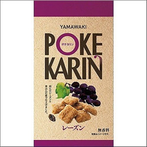 山脇 ポケカリン レーズン５０ｇ 【今月の特売 菓子】 □お取り寄せ品 【購入入数１６個】