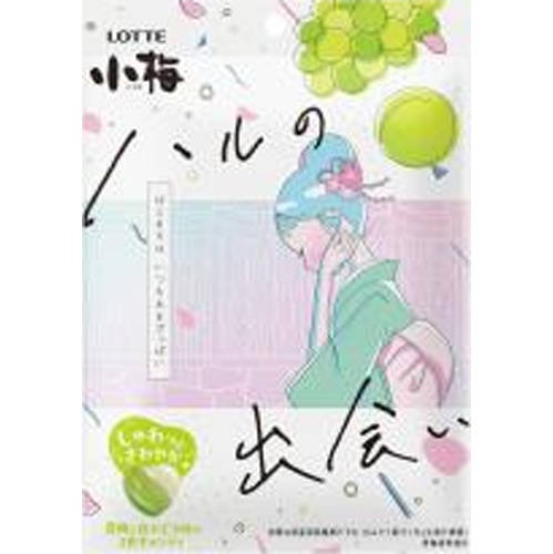 ロッテ 小梅 ハルの出会い６０ｇ △ 【購入入数６個】