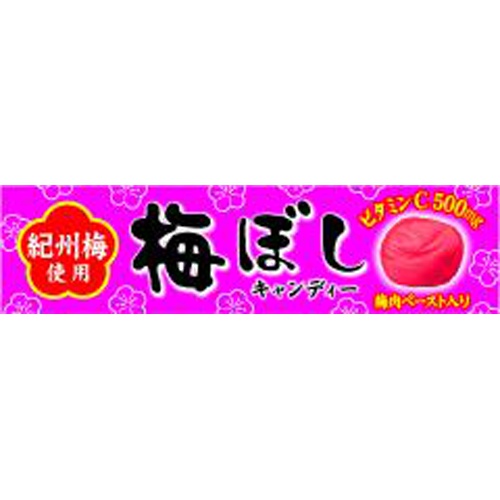 ライオン 梅ぼしキャンディー １０粒 【今月の特売 菓子】 □お取り寄せ品 【購入入数１２０個】