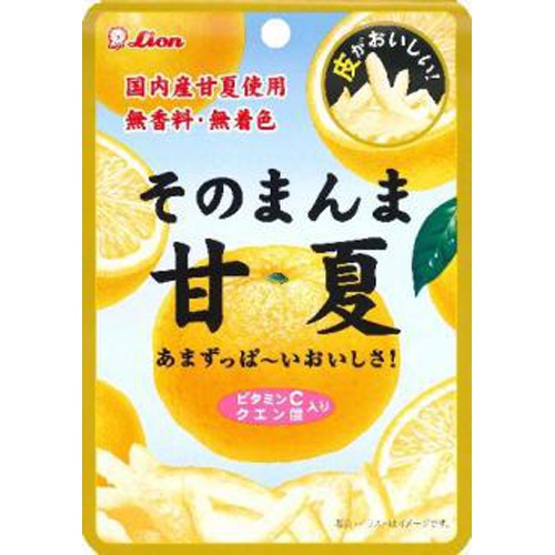 ライオン そのまんま甘夏 ２５ｇ 【今月の特売 菓子】 □お取り寄せ品 【購入入数７２個】