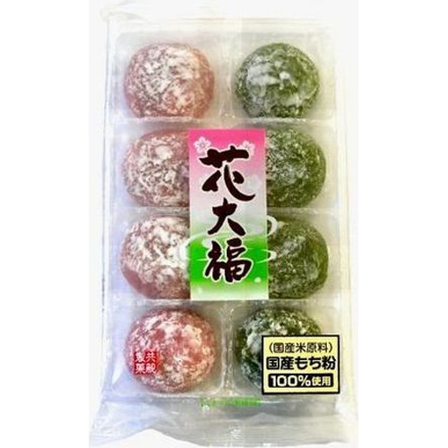 共親 花大福 □お取り寄せ品 【購入入数６個】