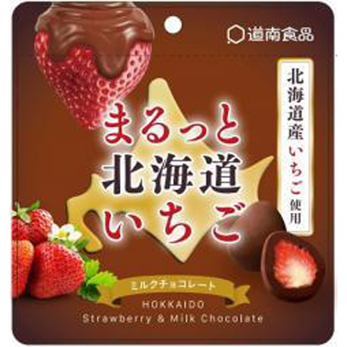 道南 まるっと北海道いちごミルクチョコレート３２ｇ □お取り寄せ品 【購入入数４８個】