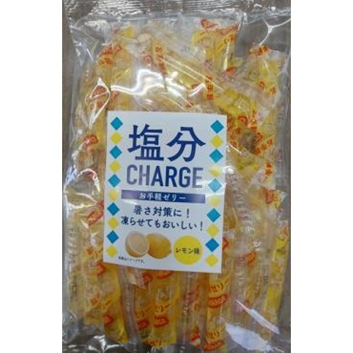坂製菓 塩分チャージレモン ５００ｇ 【新商品 4/17 発売】 △ 【購入入数１５個】
