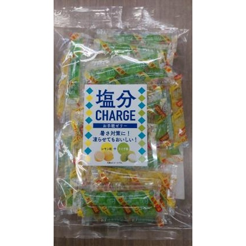坂製菓 塩分チャージレモン＆ライチ ５００ｇ 【新商品 4/17 発売】  【購入入数１５個】