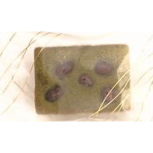 ★名月製菓 ケーク 抹茶１個 □お取り寄せ品 【購入入数１０個】