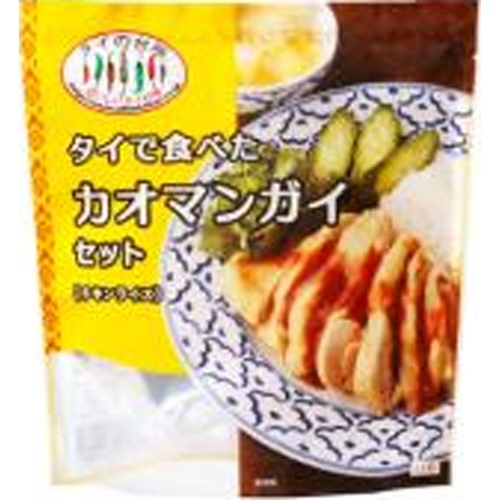 タイの台所 タイで食べたカオマンガイセット □お取り寄せ品 【購入入数６個】