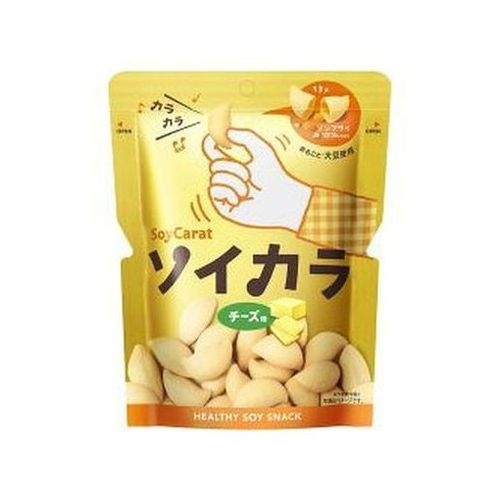 大塚 ソイカラ チーズ味２７ｇ △ 【購入入数１８個】